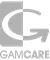 Footer3 logo